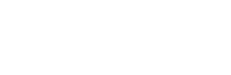 TYPE MOTION-PRO Formula モーションSIM（VR対応）